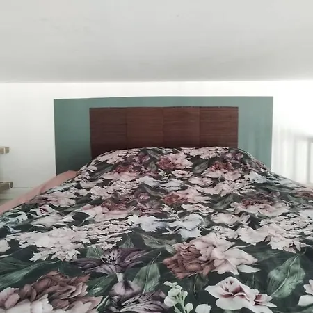 Appartement Oasis In Centre